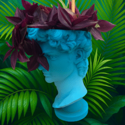 tropical bust